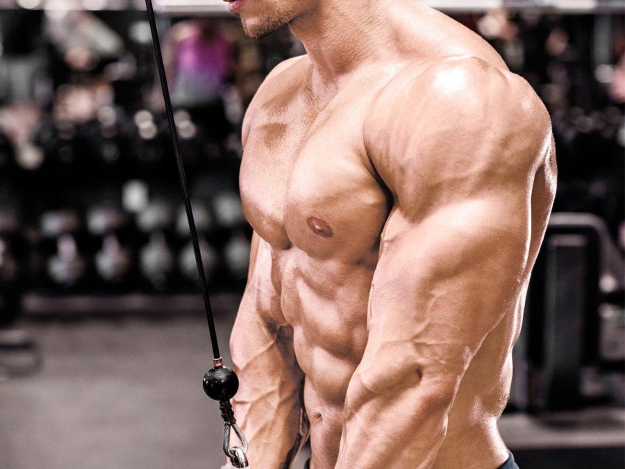 How to Get Triceps That Look Like Horseshoes